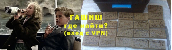 стаф Щигры